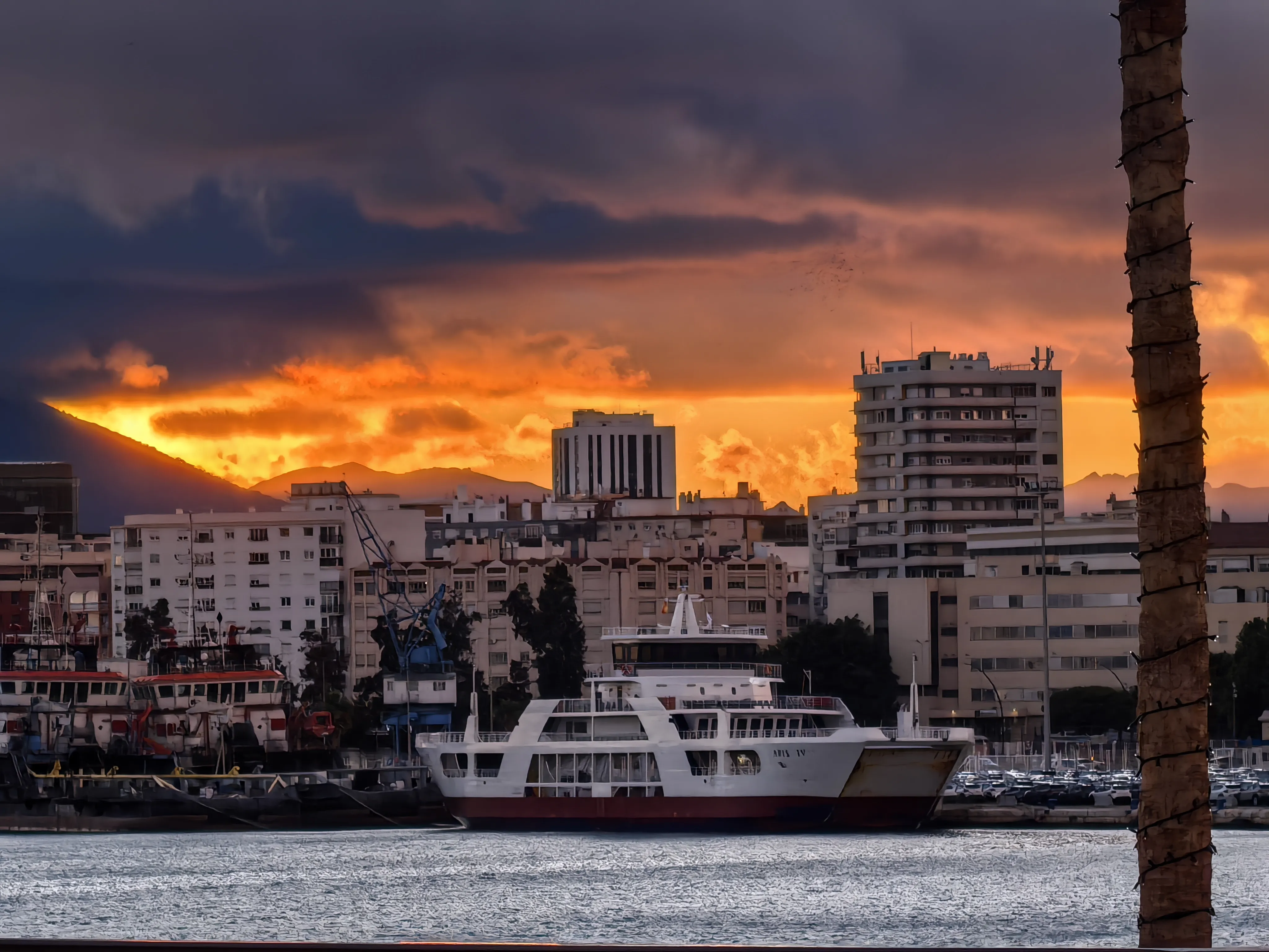 HUAWEI Pura 70 Ultra - System Aparatów - IMG_20251117_175751.webp